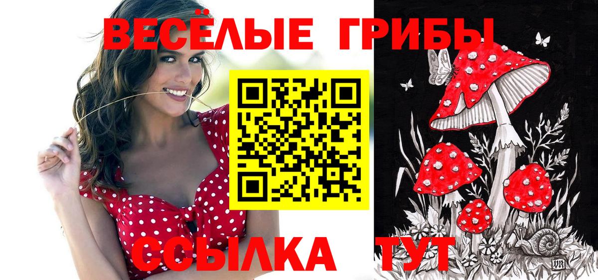 Галлюциногенные грибы мухоморы  Псилоцибиновые грибы Cubensis  Вход с VPN  Сергиев Посад 