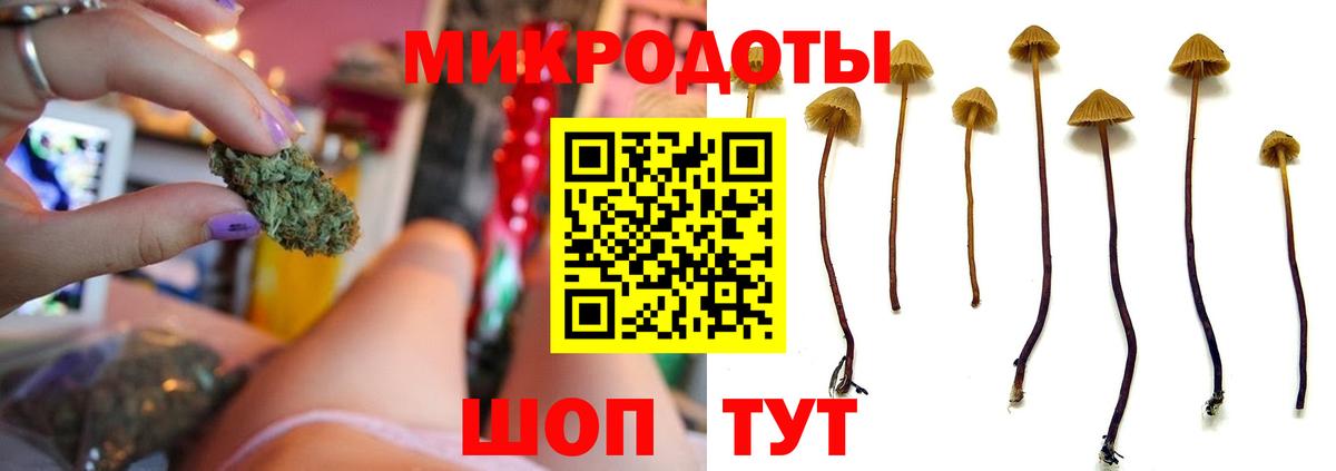 Псилоцибиновые грибы Cubensis Сергиев Посад